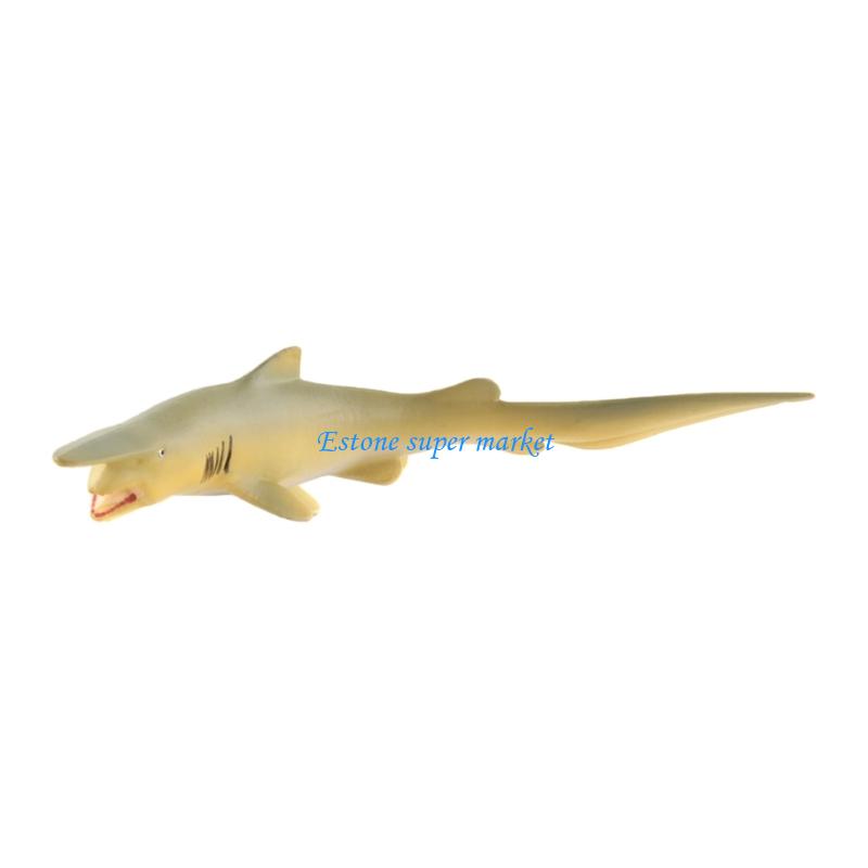 090B Mô hình cá Moray Thực tế  - đánh giá và giá Science Exhibition Models