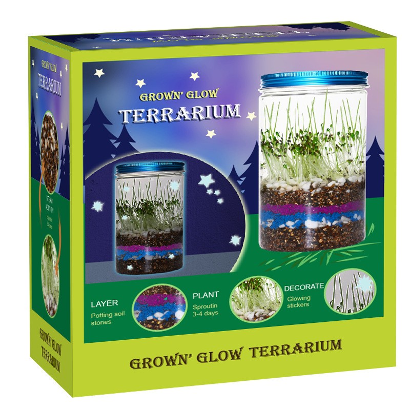 Indoor Planting Children's Fun - đánh giá và giá Science Nursery